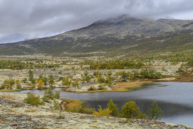 Fjellsyn Camping Dalholen wandelen omgeving