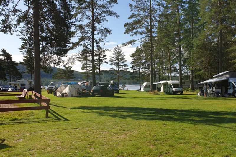 Hornnes Camping kamperen op een veldje
