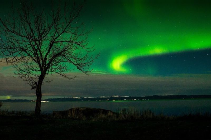 Vikhammer Camping, Vikhammer, Trondheim, Trøndelag, Norge Vikhammer Camping, Vikhammer, Trondheim, Trøndelag, Norge
